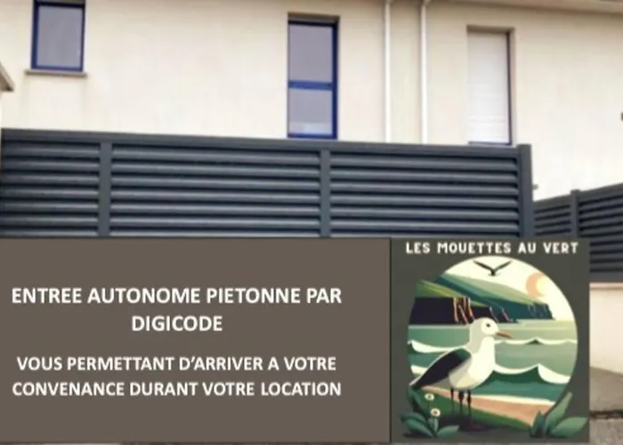 Les Mouettes Au Vert